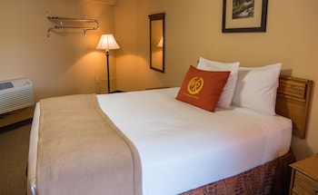 wild bear inn