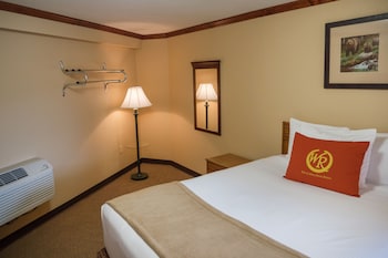 wild bear inn