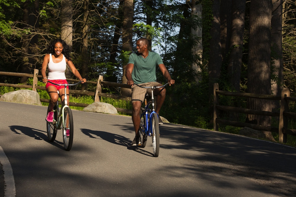 paradise stream resort adults only