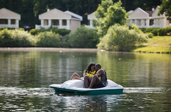 paradise stream resort adults only