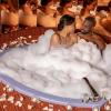 paradise stream resort adults only