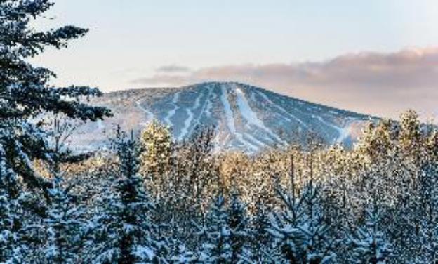 the black bear lodge at stratton mountain resort