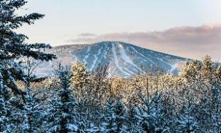 the black bear lodge at stratton mountain resort