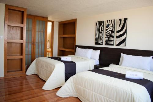 puebla inn express