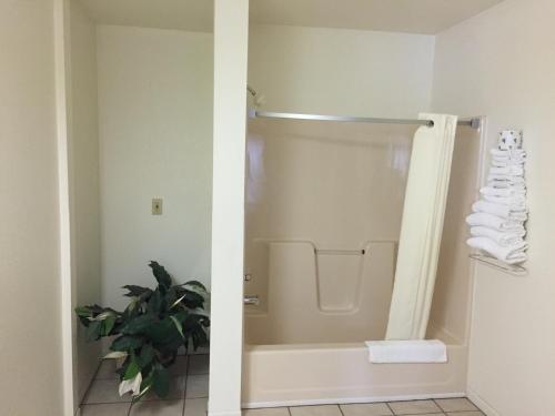 super 8 by wyndham escanaba