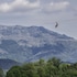 igantzi