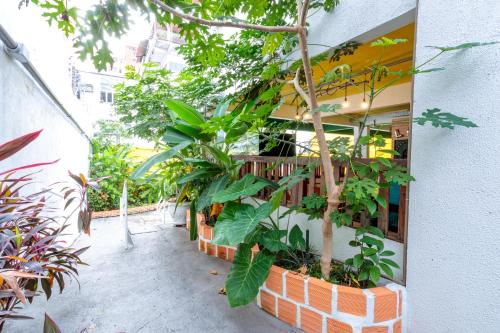 local hostel manaus