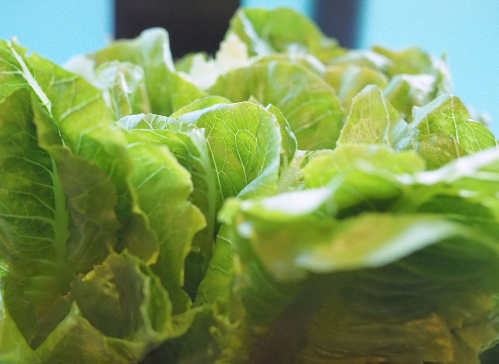 lani chiang mai hotel