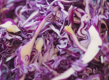 lani chiang mai hotel