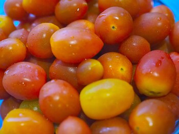 lani chiang mai hotel