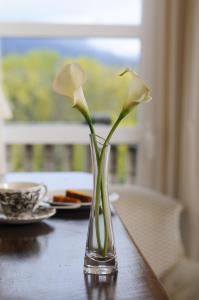 san vicente de la sonsierra