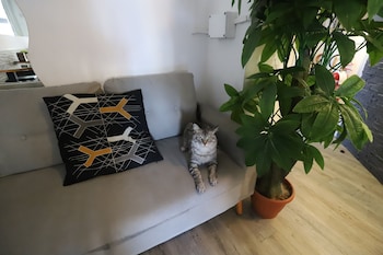 Guest House Pirelli,Centro Direzionale>>Arcore,2 star