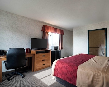 econo lodge inn and suites canandaigua