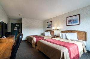 econo lodge inn and suites canandaigua