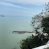 george town