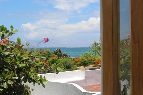 puerto ayora