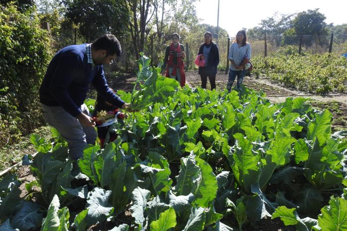 paatlidun safari lodge