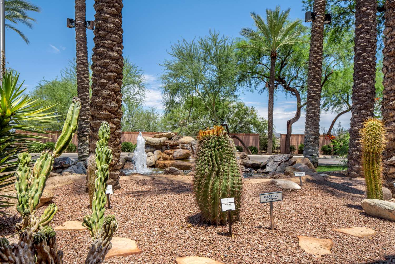 hilton vacation club scottsdale villa mirage