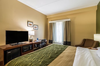 comfort inn and suites panama city north