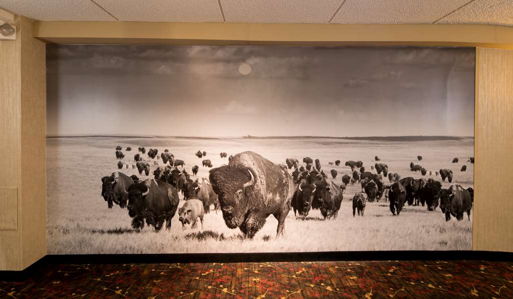 best western ramkota hotel