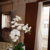 hotel boa vila