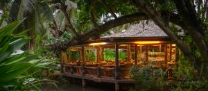 pacific resort rarotonga