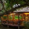 pacific resort rarotonga