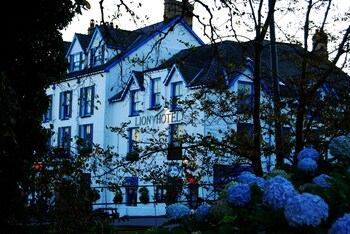 the lion hotel