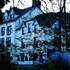 the lion hotel