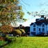 the lion hotel