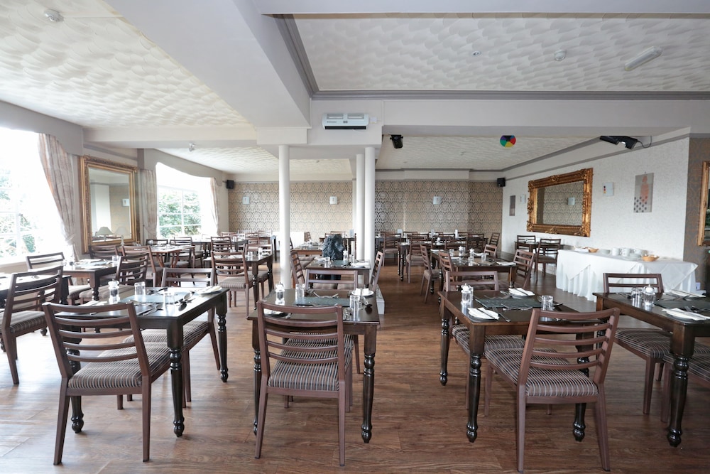 the lion hotel