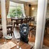 the lion hotel
