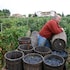 chianciano terme