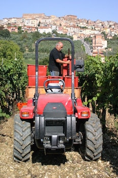 chianciano terme