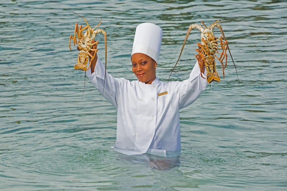 warwick paradise island all inclusive adults only