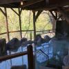 hotel manyoutei