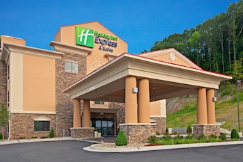 Holiday Inn Express Hotel & Suites Ripley By Ihg,Parkersburg>>Jackson County,3 star