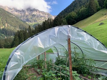 guest house du grand paradis