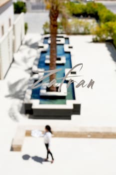 zafran boutique hotel