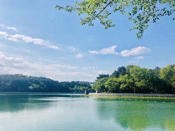hotel avenue changwon