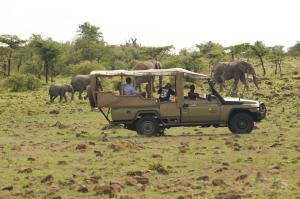 maasai mara