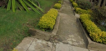 the yellow green hotel