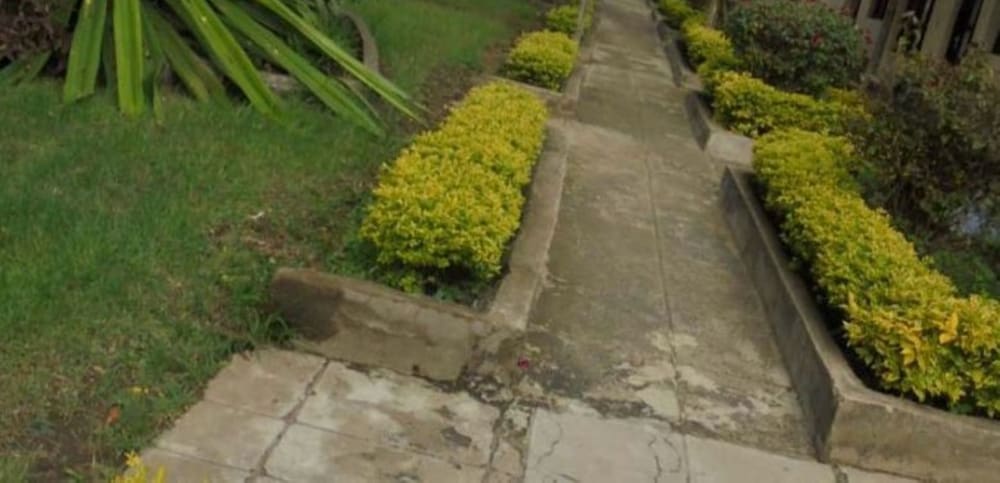 the yellow green hotel