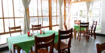 the yellow green hotel