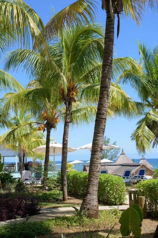 anelia resort and spa