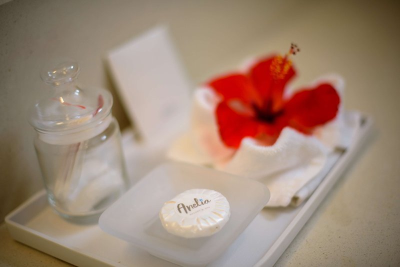 anelia resort and spa