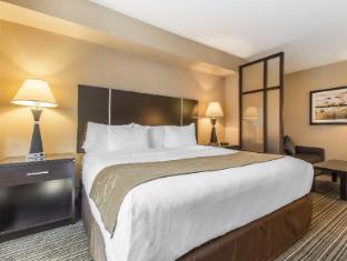 comfort suites downtown