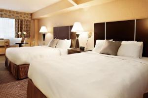 comfort suites downtown