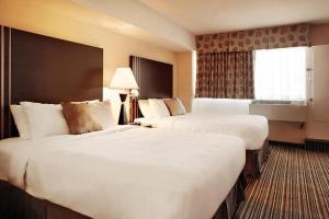 comfort suites downtown