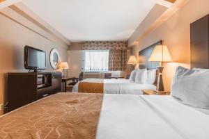 comfort suites downtown